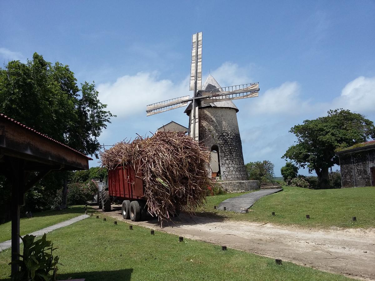 A La La Plantation And